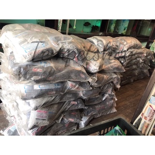 Cát nhật đen mooncat 9L