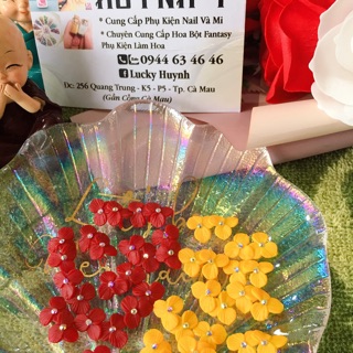 Hoa lan đôi ôm móng ( nail)