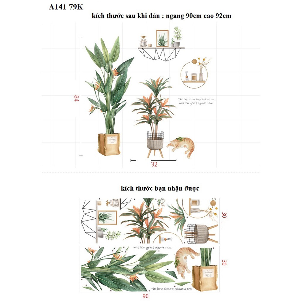 Decal dán tường chậu cây A54 - Decal dán tường Hàn Quốc