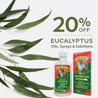 Dầu Khuynh Diệp Euky Bear / EucaPro Hàng Nhập Khẩu 60ml