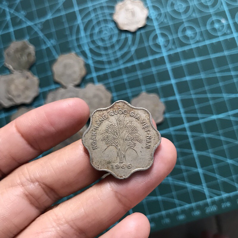 Sưu tập - 5 đồng bông mai 8 cánh 1966 | BigBuy360 - bigbuy360.vn