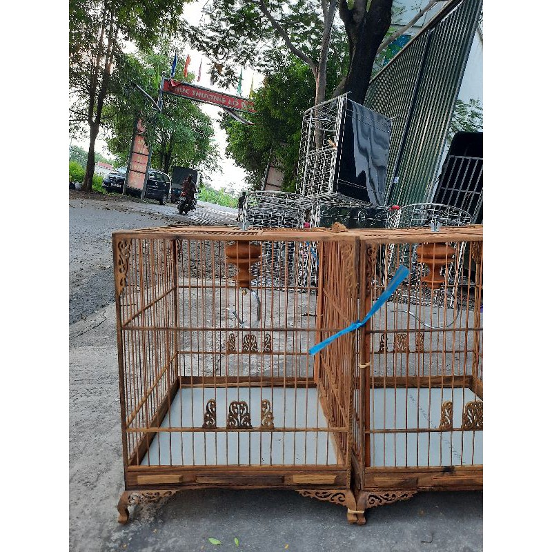 LỒNG THÁI ,VUÔNG ĐẤU ,CẢ VUÔNG CAO GỖ MUỒNG.