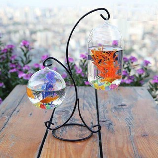Bể cá cảnh Mini để bàn
