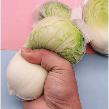 Cải thảo bóp DCB42 bóng lười đồ chơi trong phòng squishy toy