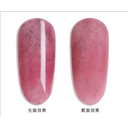 Sơn lông AS cao cấp (mã SR) | chai nắp đỏ hàng chính hãng