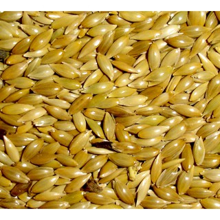 Hạt láng yến,láng tròn dành cho vẹt gói 500g