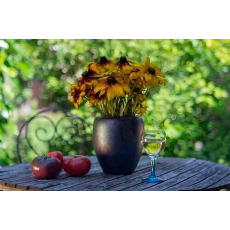 Ống kính MF fujinon 55/2.2 ngàm M42