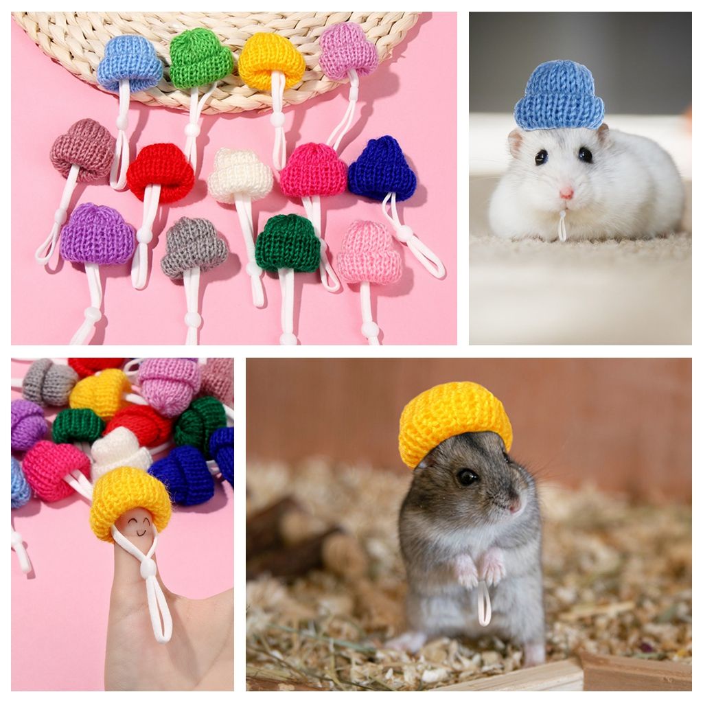 Set 2 mũ len giữ ấm màu trơn nhiều màu tùy chọn dễ thương cho thú cưng