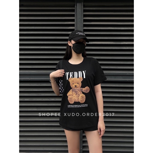 ÁO THUN COTTON - ÁO PHÔNG HÌNH GẤU TEDDY GTM