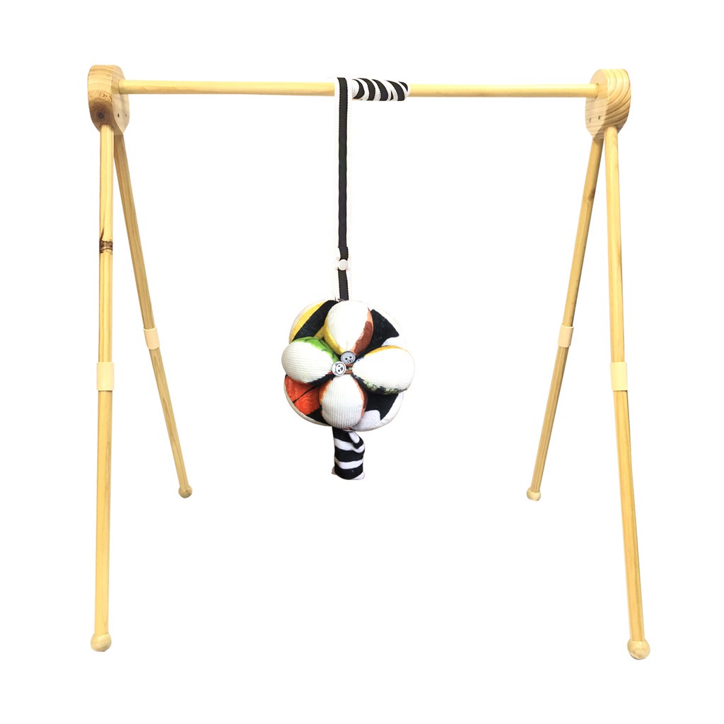 Bóng múi luyện chân PiPoVietnam họa tiết pipo animal