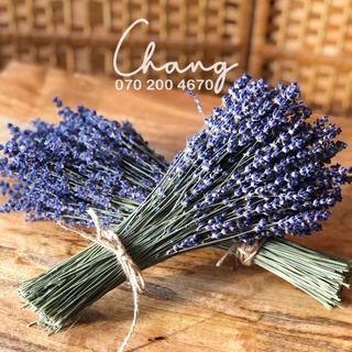 Bó hoa khô Lavender Pháp (hoa Oải hương)