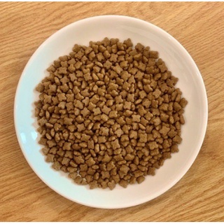 Thức ăn mèo con CATSRANG KITTEN 1,5 kg