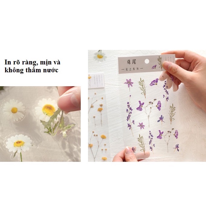 Sticker Dán Sổ Hoa Lá Vintage Trong Suốt Không Thấm Nước Trang Trí Sổ Tay Lap Top | BigBuy360 - bigbuy360.vn