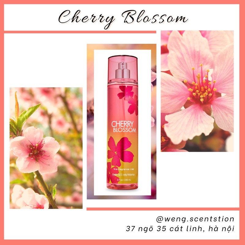 Xịt thơm toàn thân Bath & Body Works mùi Cherry Blossom | BigBuy360 - bigbuy360.vn