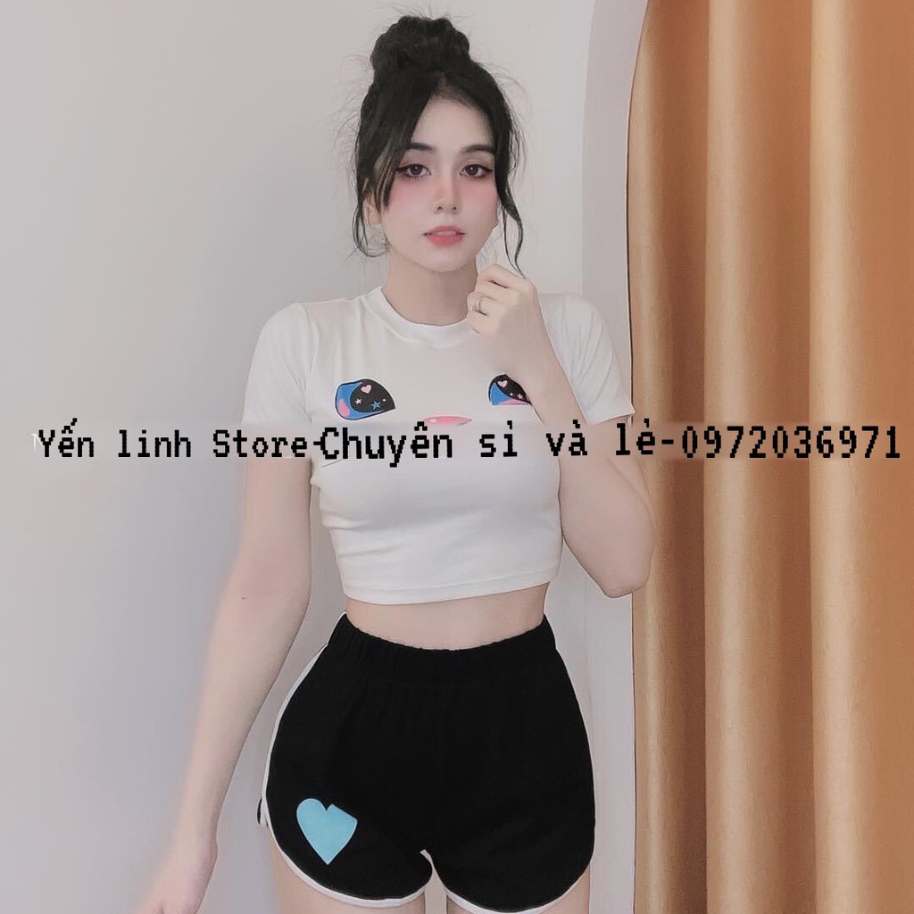 Set bộ áo croptop quần đùi mèo ba màu xinh xắn YenLinhStore S018