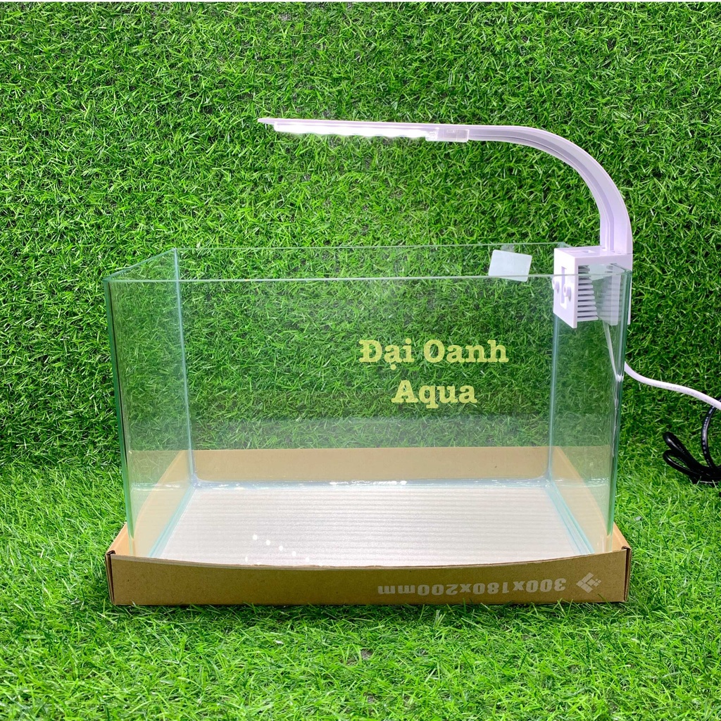Bộ bể cá kính đúc dài 30cm, bể cá cảnh mini, bể thủy sinh
