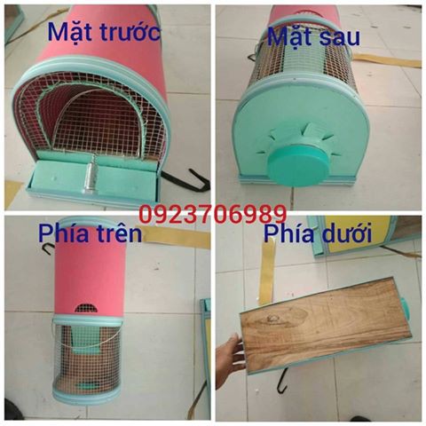 Lồng bẫy chuột 2 ngăn
