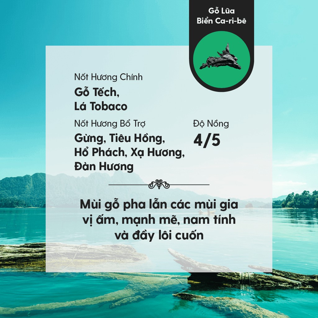 Tinh Dầu Phối Hương Caribbean Driftwood (Gỗ Ấm Nam Tính) Làm Nến Thơm, Xông Thơm Phòng HENY GARDEN