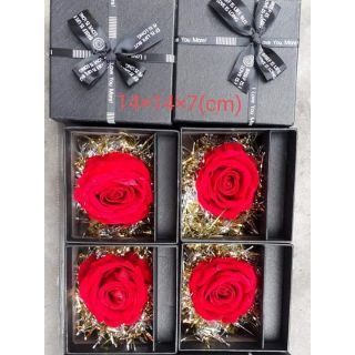 Hộp đựng son thỏi dài.