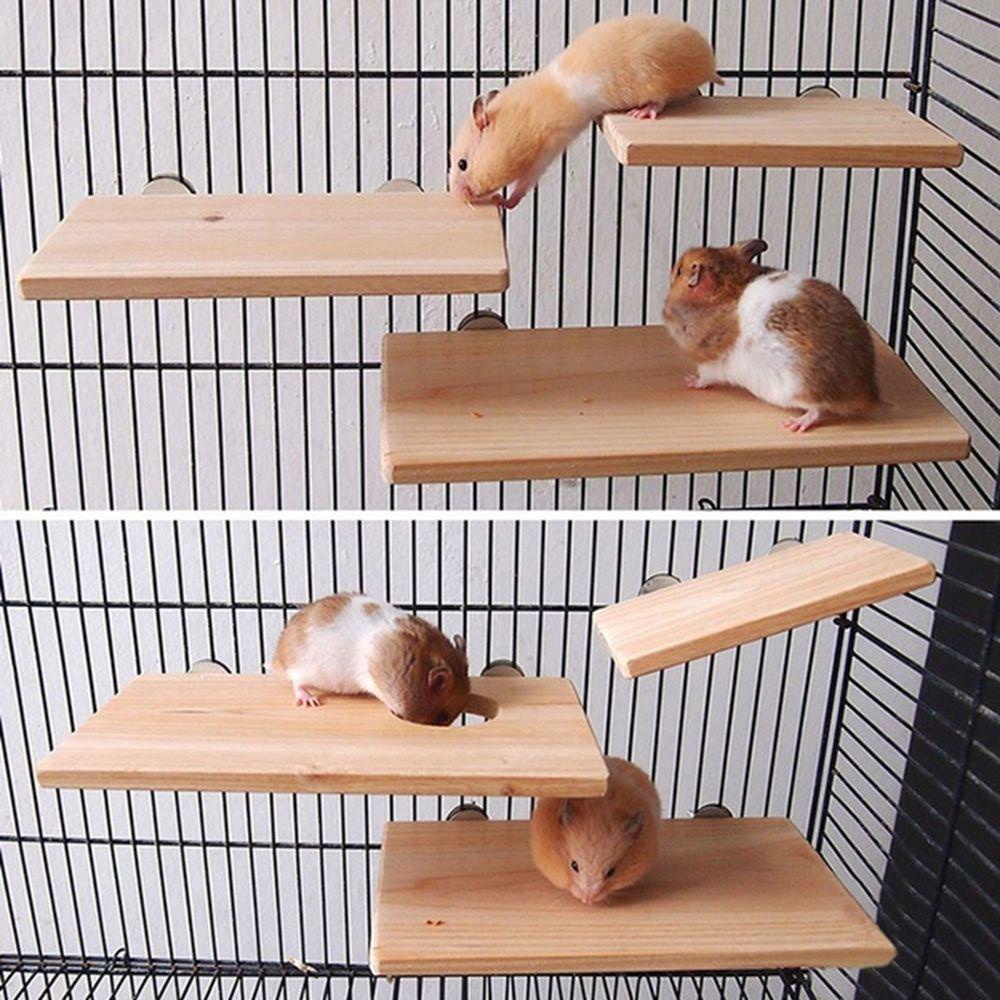 Thang Lò Xo Đứng Bằng Gỗ Cho Chuột Hamster