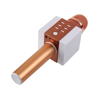 Micro karaoke Tosing T008