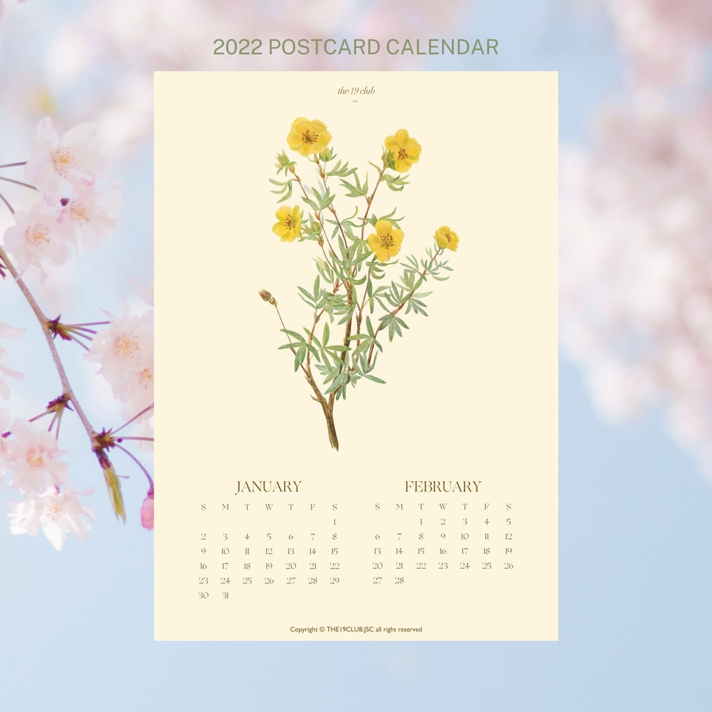 The19club - Bộ bưu thiếp lịch hoa 2022 kích thước A6 - Postcard Calendar