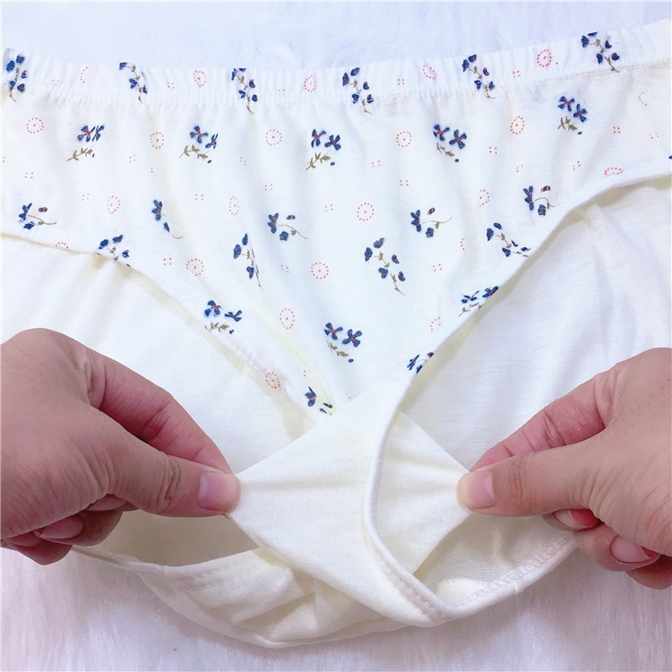 FREESHIP KÈM QUÀ Combo 5 Quần lót đẹp thun cotton mịn kháng khuẩn sợi tre bigsize size đại  nhiều màu sắc