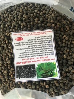 Chuối hột mồ côi 1 kg
