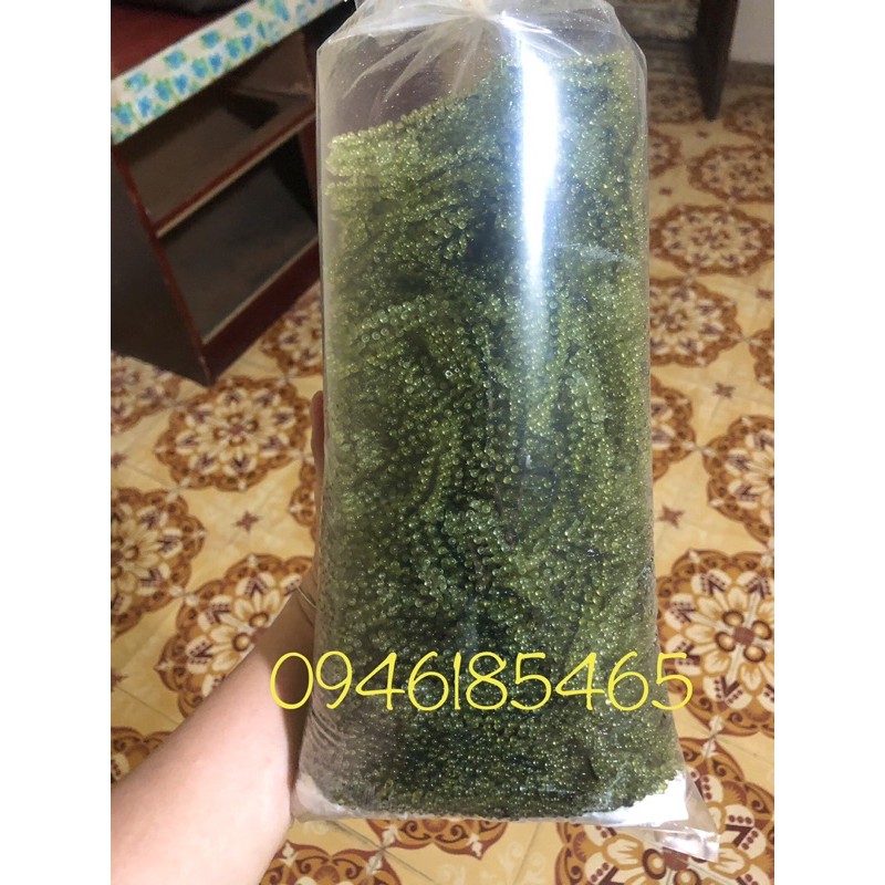 RONG NHO BIỂN TƯƠI ( ĐÓNG TÚI 1 KG)