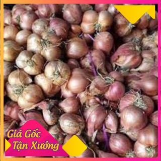 Hành khô Kinh Môn