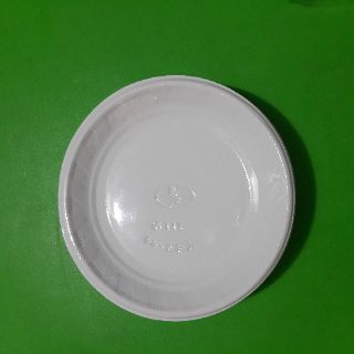 Đĩa nhựa dùng 1 lần (50c)