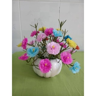 hoa giay lua -1bộ hoa  MƯỜI GIỜ cà chậu (BRVT. 0907519890)
