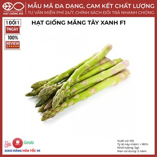 Hạt Giống Măng Tây Xanh F1 (5gr) - Giống có thời gian sinh trưởng ngắn, kháng bệnh tốt, ra măng nhiều ăn ròn và ngon