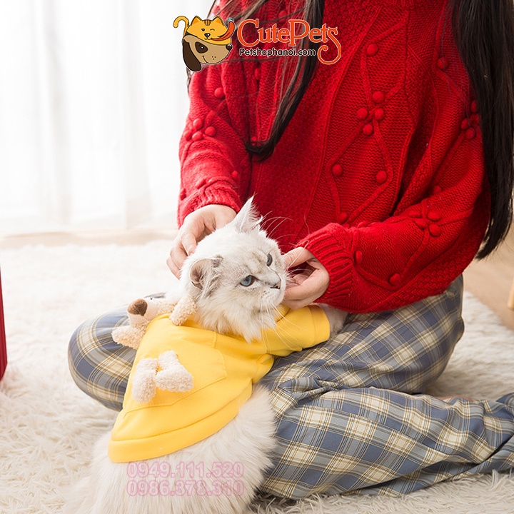 Áo cho chó mèo, áo nỉ mùa đông đeo gấu cute - Phụ kiện thú cưng Hà Nội