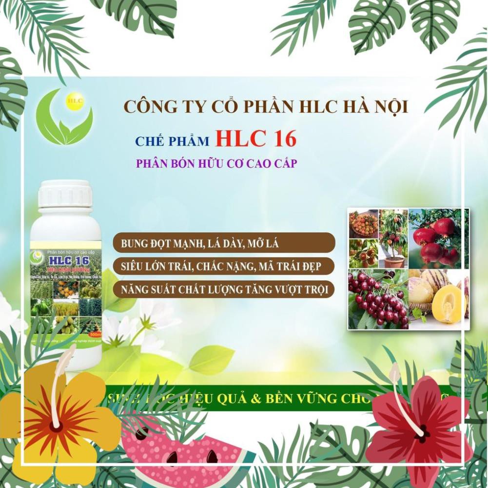 PHÂN BÓN HỮU CƠ CAO CẤP HLC 16 - PHÂN BÓN LÁ KÍCH MẦM KÍCH CHỒI DƯỠNG TRÁI CHO CÂY ĂN QUẢ, HOA, CÂY CẢNH, RAU MÀU- 500ML