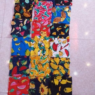 Combo. 50 bộ trái cây