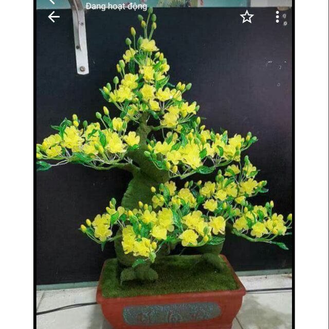 combo nguyên liệu làm cây mai gốc rồng