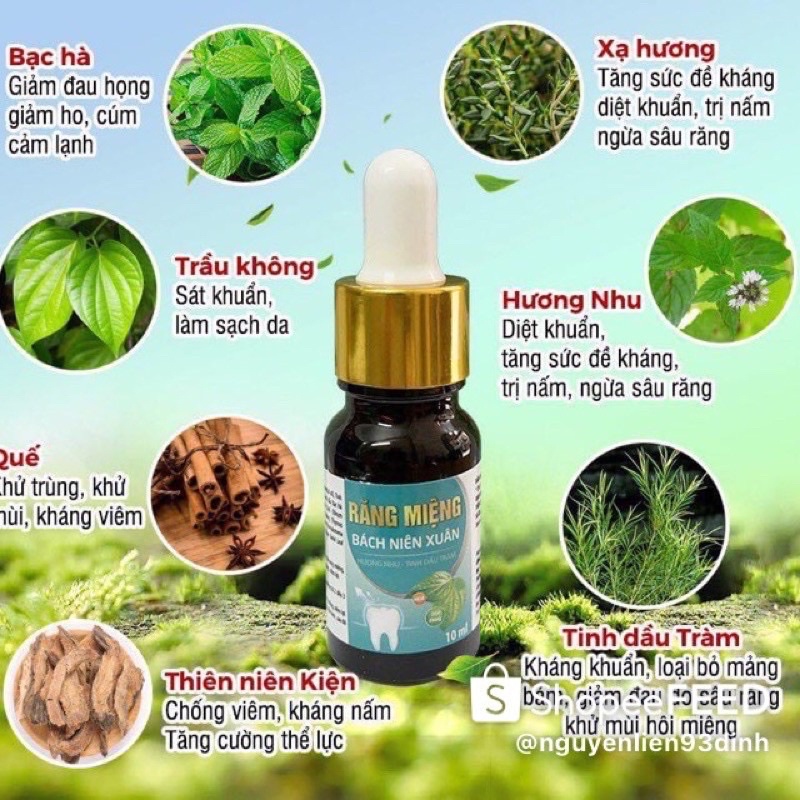 TINH DẦU CHĂM SÓC RĂNG MIỆNG BÁCH NIÊN XUÂN 10ml