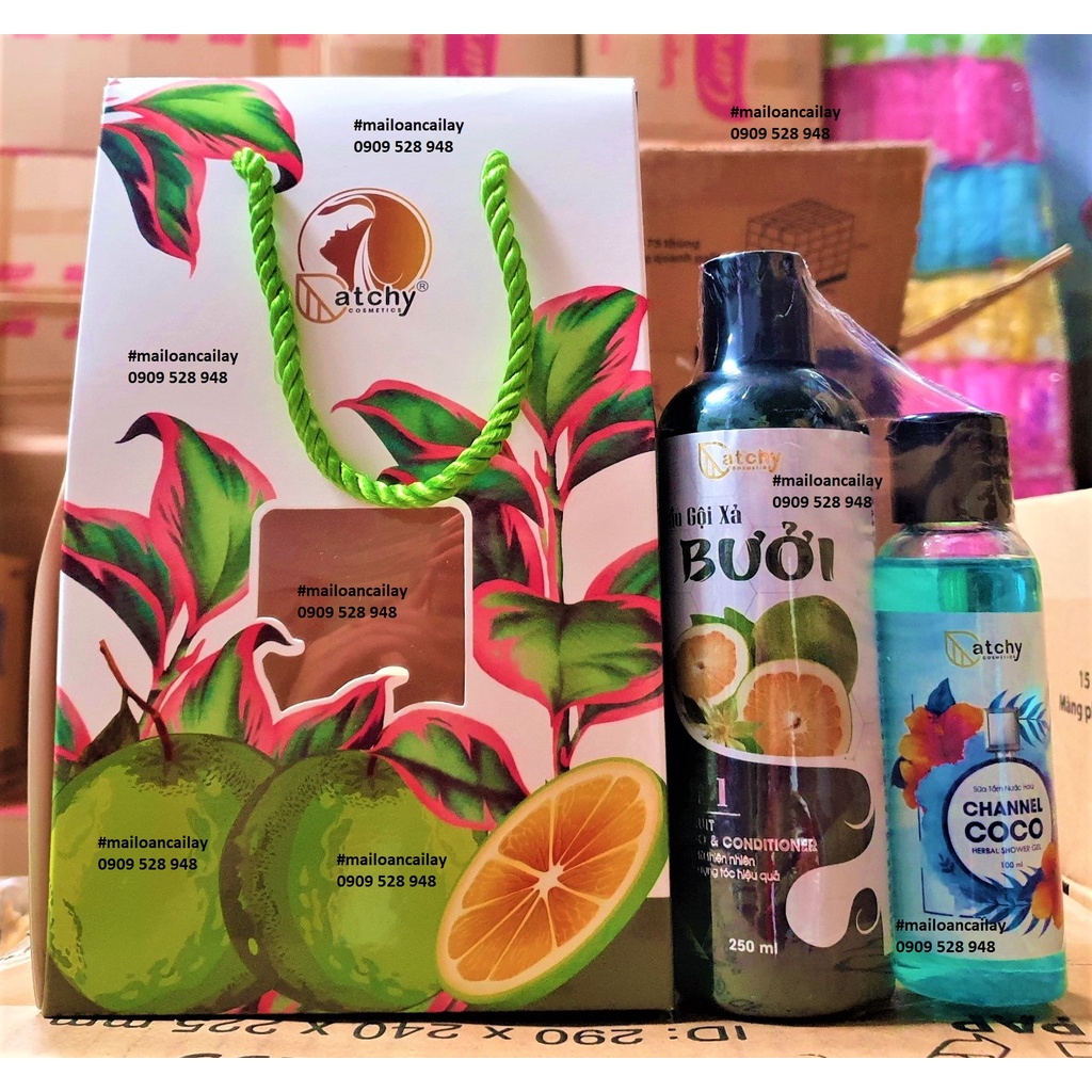 Gội xả bưởi CATCHY 250ml tặng kèm có hộp quà (621)