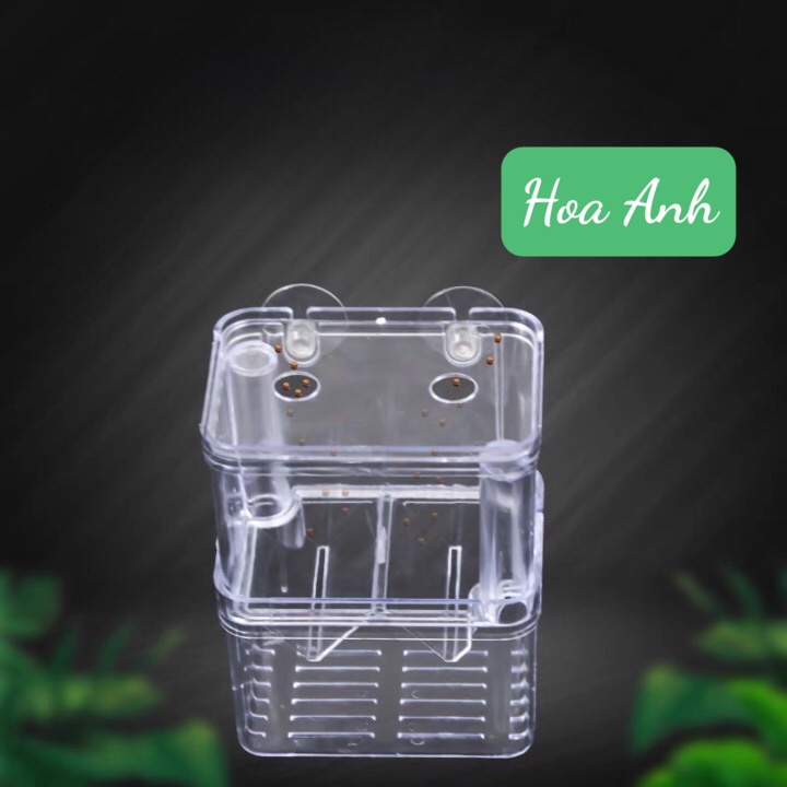 Lồng Đẻ Mica Nhiều Size Dành Cho Cá Cảnh