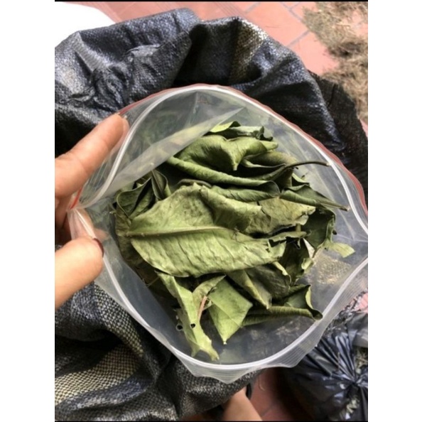 1 ký lá Bưởi Khô hàng loại 1