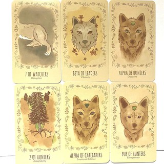 Bộ bài The Wild Wolf Tarot Size Thường H5