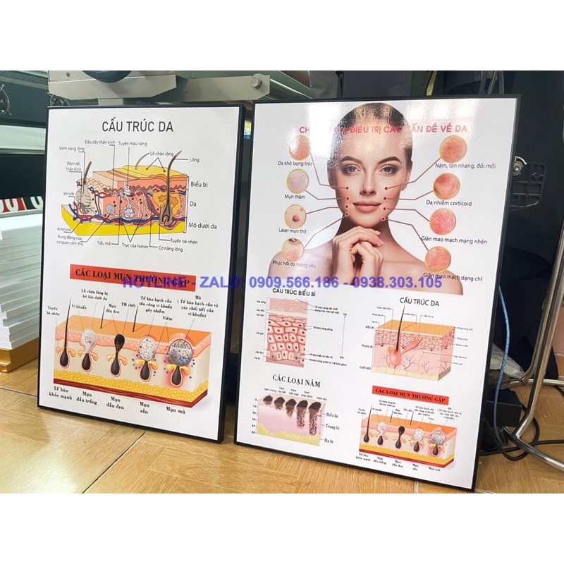 TRANH SPA CHĂM SÓC DA NHIỀU MẪU ĐẸP SANG TRỌNG CHO SPA THẨM MỸ VIỆN