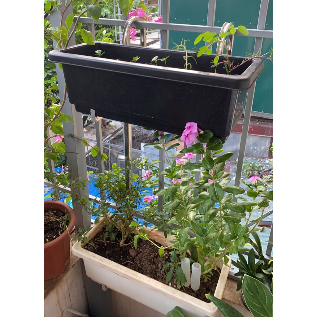 Chậu Nhựa Dài Thông Minh Trồng Hoa, Rau, Cây Cảnh -  Bền Đẹp - Size 48x20x16cm