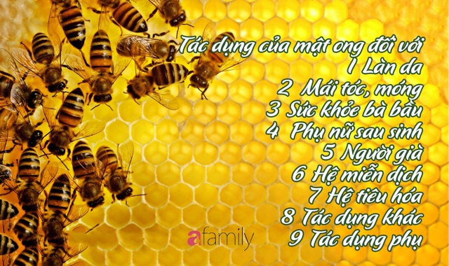 1Lit Mật ong hoa cà phê nguyên chất đăk lăk . Cam kết  mật ong nhà làm, nguyên chất không pha đường .