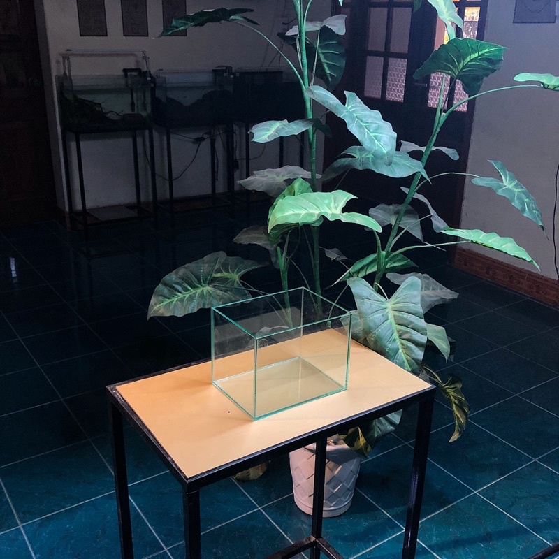 Bể cá mini D20xR15xC15cm dán dấu keo