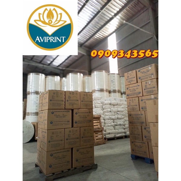 GIẤY VỆ SINH Bathroom Tissue