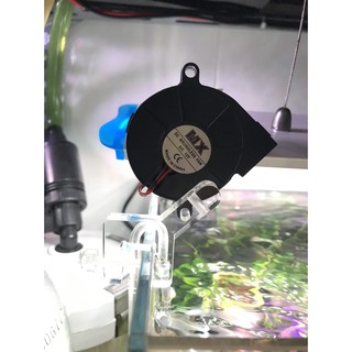 Quạt sò MX tản nhiệt hồ thủy sinh hồ cá