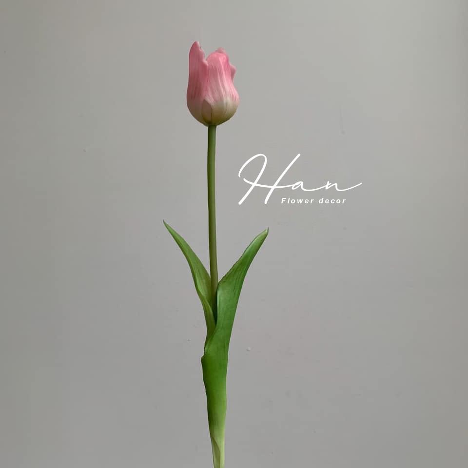 Hoa tulip - Hoa giả PU nhập khẩu giống thật 99% - Cao 52cm phụ kiện chụp hình