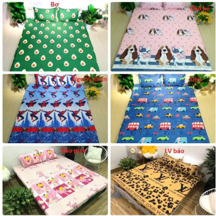 Xả hàng tết Bộ ga gối 2m2 cotton poly ava 2M224